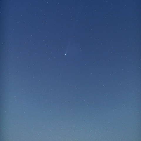 アイソン彗星＆スピカ（１１月１７日未明）