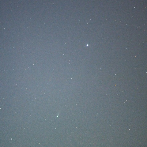 アイソン彗星＆スピカ（１１月１９日未明）