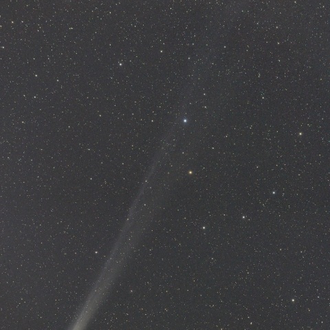 ラヴジョイ彗星（１２月１日未明）