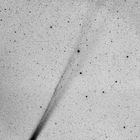 ラヴジョイ彗星反転画像（１２月１日未明）