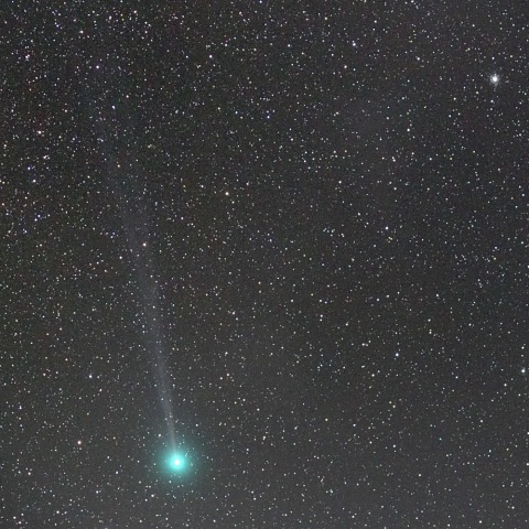 ラヴジョイ彗星＆Ｍ７９