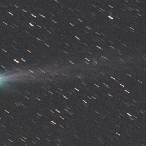 マックノート彗星（C/2009 R1）頭部拡大