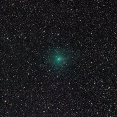 103P/ハートレー彗星(11月2日未明)