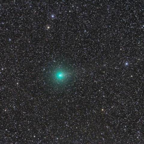 103P/ハートレー彗星（11月6日未明）