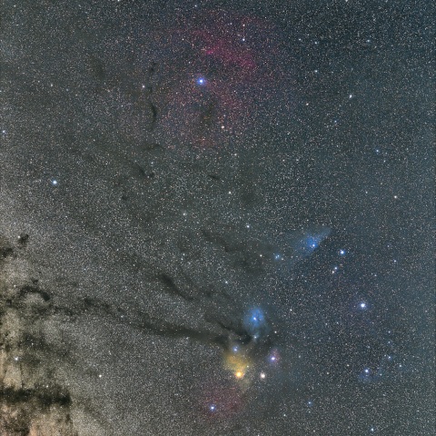 夏の散光星雲たち