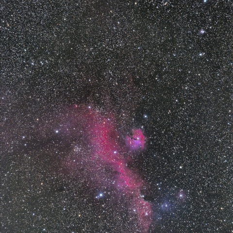 かもめ星雲&M50とジャコビニ・ツィナー彗星