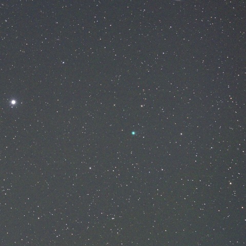 マックホルツ・藤川・岩本彗星