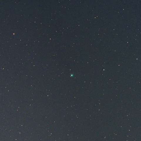 11月15日未明のマックホルツ・藤川・岩本彗星