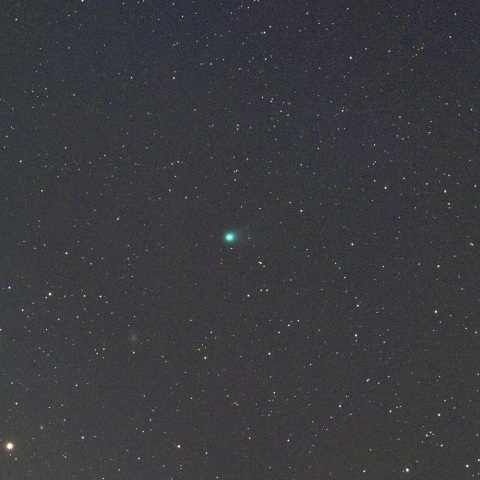 11月20日未明のマックホルツ・藤川・岩本彗星