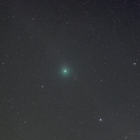 12月5日のウィルタネン彗星