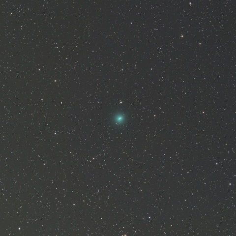 2月6日未明の岩本彗星