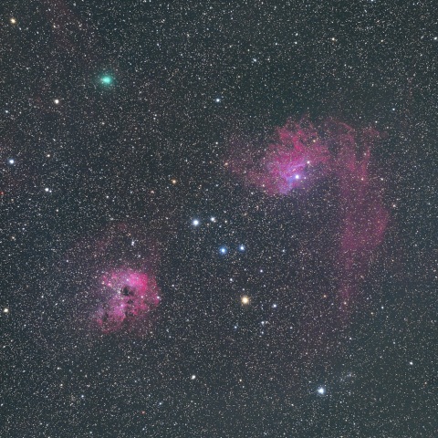 岩本彗星&勾玉星雲