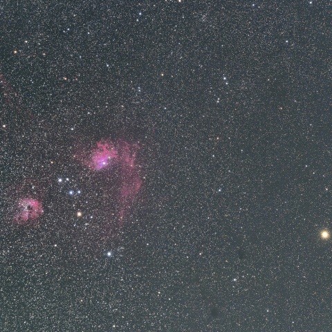 岩本彗星&勾玉星雲