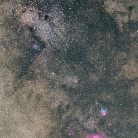 M8、M20からバンビの横顔