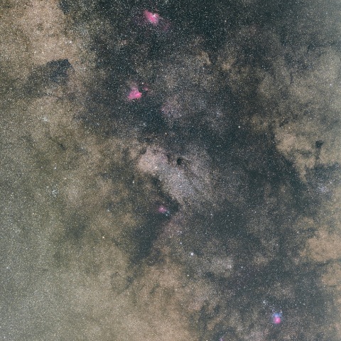 「バンビの横顔」周辺