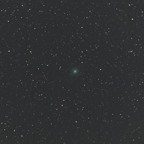 3月25日のアトラス彗星（C/2019 Y4）