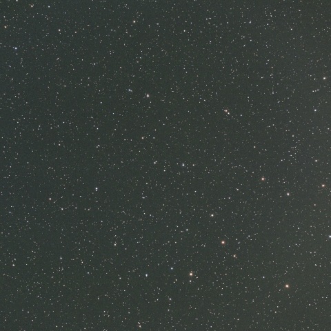 4月3日未明のアトラス彗星（C/2019 Y4）とNGC2403