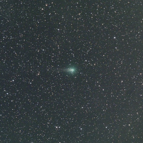 4月14日のアトラス彗星（C/2019 Y4）