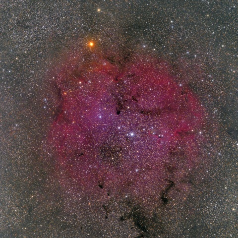 ケフェウス座のIC1396