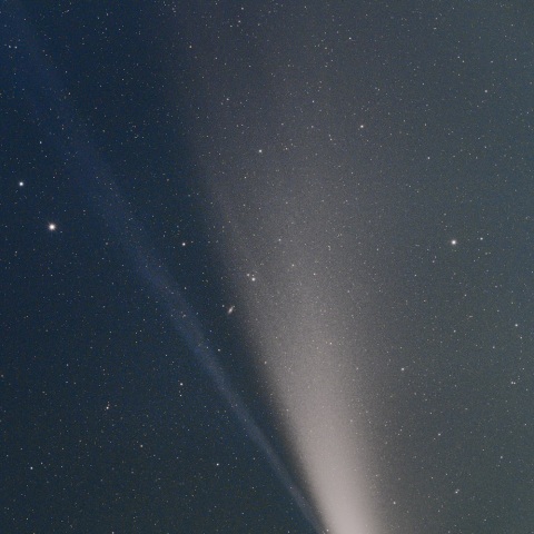 7月19日のネオワイズ彗星（C/2020 F3）