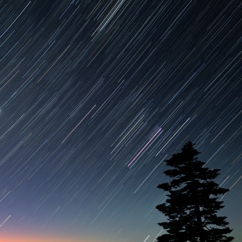 昇るオリオン座