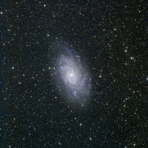 M33