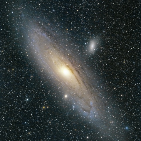 M31