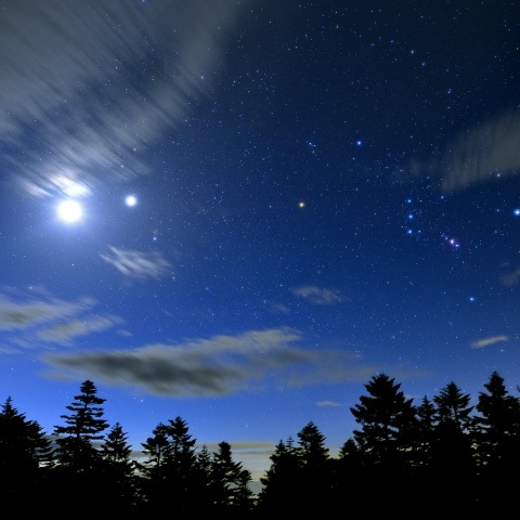 アルテミス、ビーナス、オリオンの共演