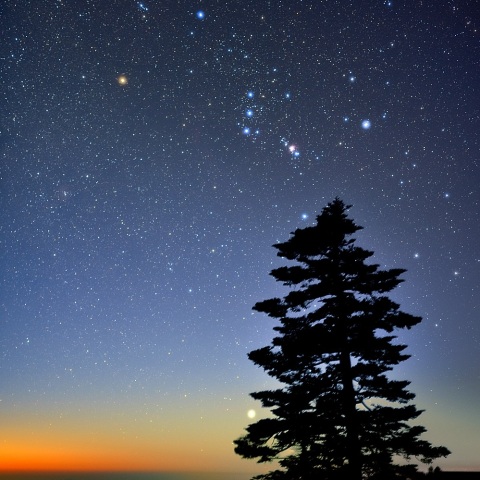 昇るオリオン座