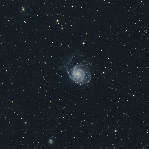 M101