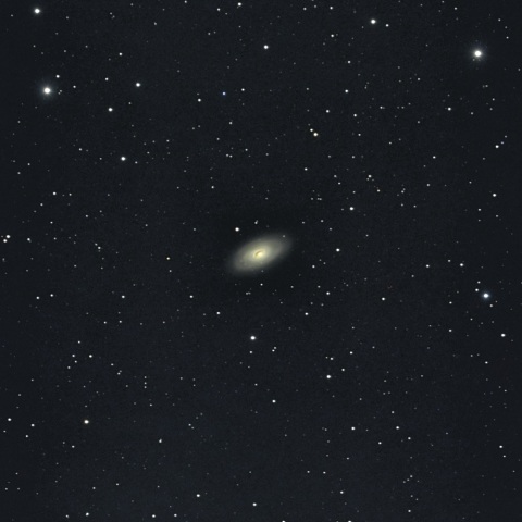 M64