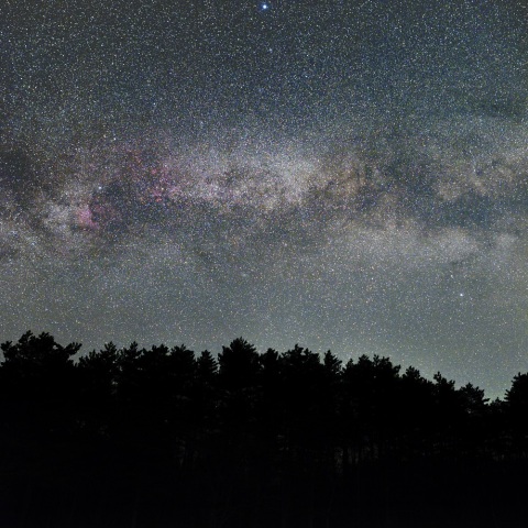 昇る夏の大三角