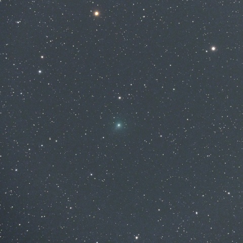 5月30日のパロマー彗星(C/2020 T2)