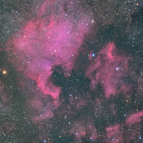 北アメリカ星雲とペリカン星雲