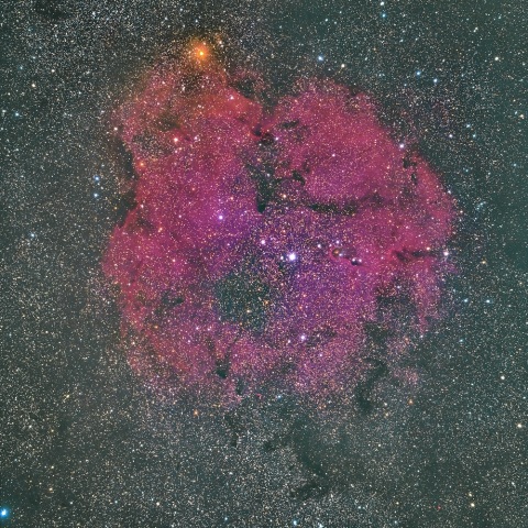 IC1396（Sh2-131）