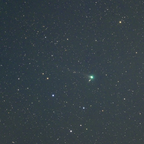 １月３１日の１９Ｐ/ボレリー彗星