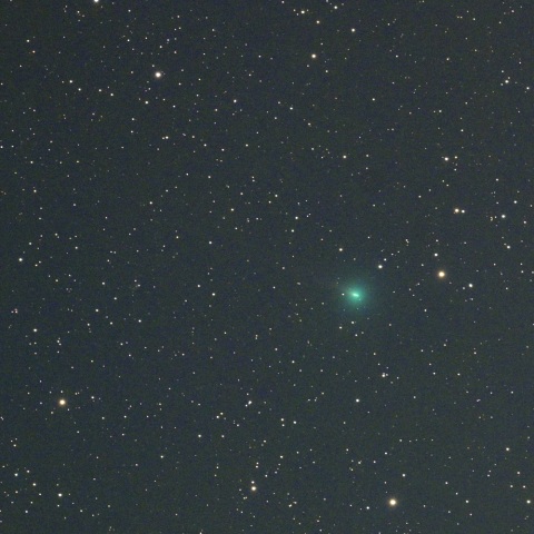 １月３１日の１０４Ｐ/コワル第２彗星