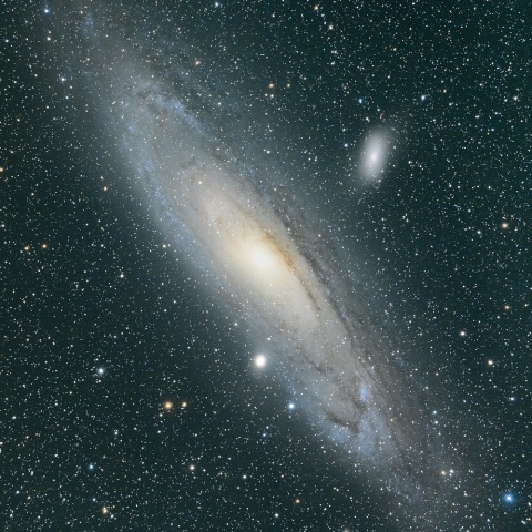 ニコンＺ９で撮影したＭ３１