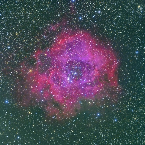 夜空に咲く一輪の薔薇（バラ星雲）