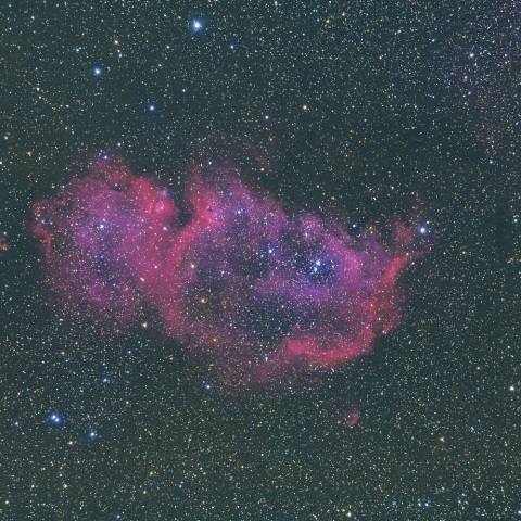 ＩＣ１８４８（胎児星雲）
