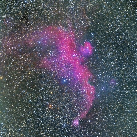 ＩＣ２１７７（かもめ星雲）