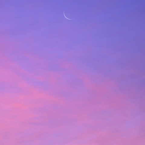 早朝の細い月と飛行機雲（１２月２１日）