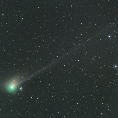 １月１9日未明のＺＴＦ彗星（５６０ｍｍ）