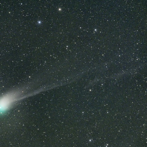 １月２２日未明のＺＴＦ彗星（５６０ｍｍ）