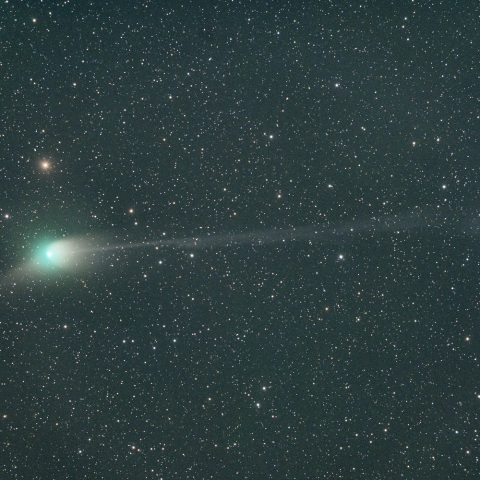 １月２６日未明のＺＴＦ彗星（３００ｍｍ）