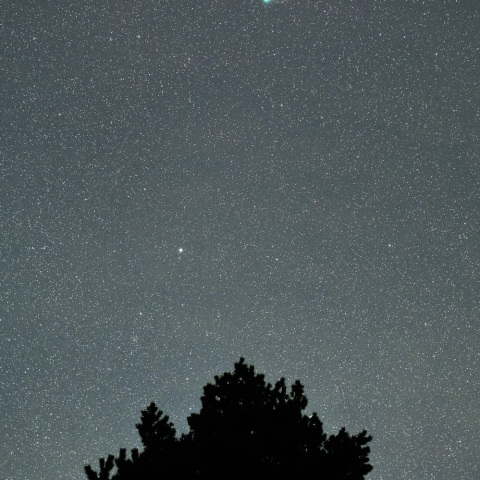 ノクト星景（北極星とＺＴＦ彗星）