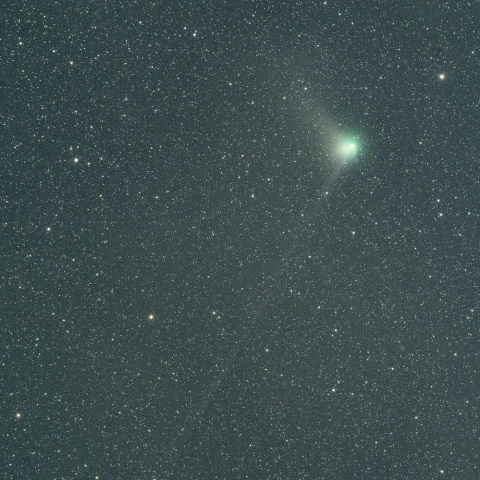 ２月１日未明のＺＴＦ彗星（２００ｍｍ）