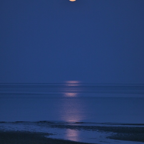 月の道（ワームムーン）