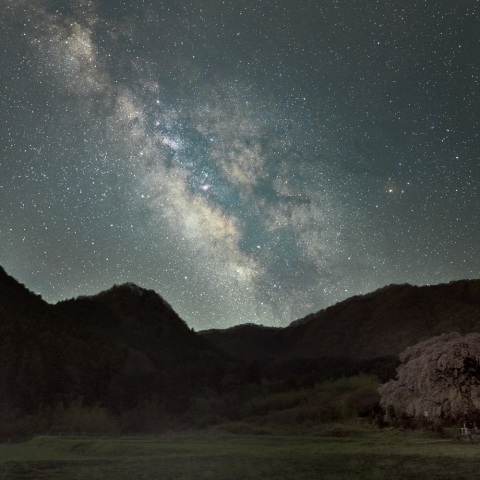 サクラ星景（しだれ桜と里山の星空）