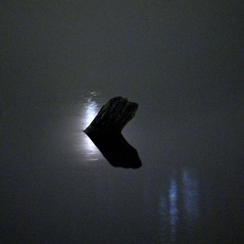 水面（みなも）に映る金星とプレアデス星団